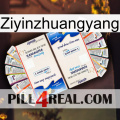 Ziyinzhuangyang kamagra1